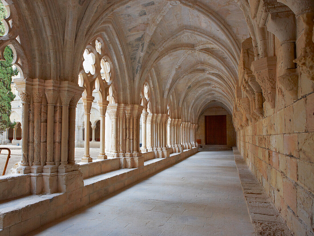 Cloister at the Royal Abbey of Santa Maria de Poblet. Vimbodi i Poblet, Catalonia, Spain.