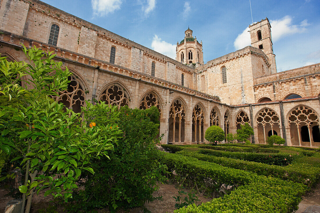 Lush greenery in the inner courtyard at the Royal Abbey of Santa Maria de Santes Creus. Santes Creus, Catalonia, Spain.