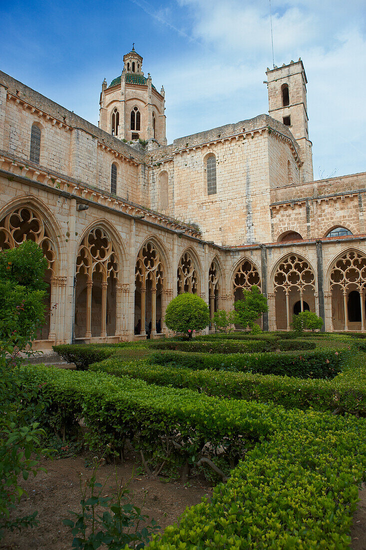 Lush greenery in the inner courtyard at the Royal Abbey of Santa Maria de Santes Creus. Santes Creus, Catalonia, Spain.