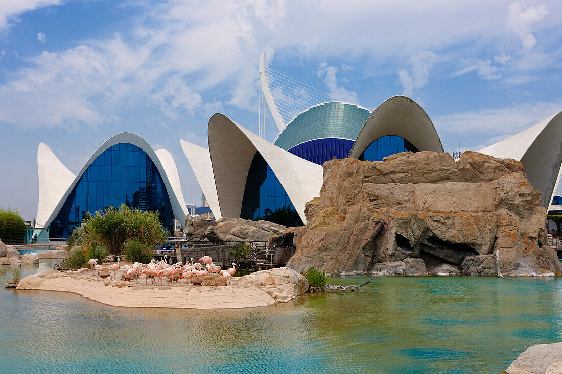 Exterior view of Oceanografic Aquarium in the City of Arts and Sciences, a cultural and architectural complex in Valencia, Spain.