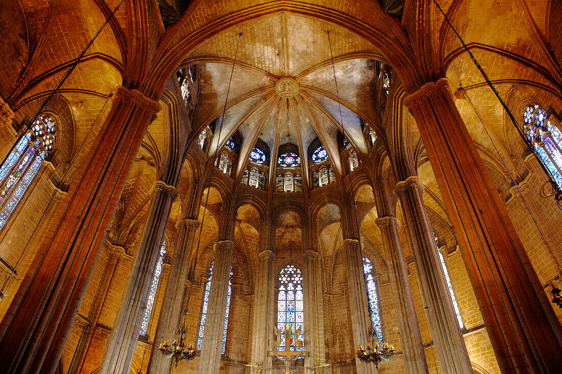 A view from below of the vaulted ceiling in the Cathedral of the Holy Cross and Saint Eulalia. Barcelona, Catalonia, Spain.