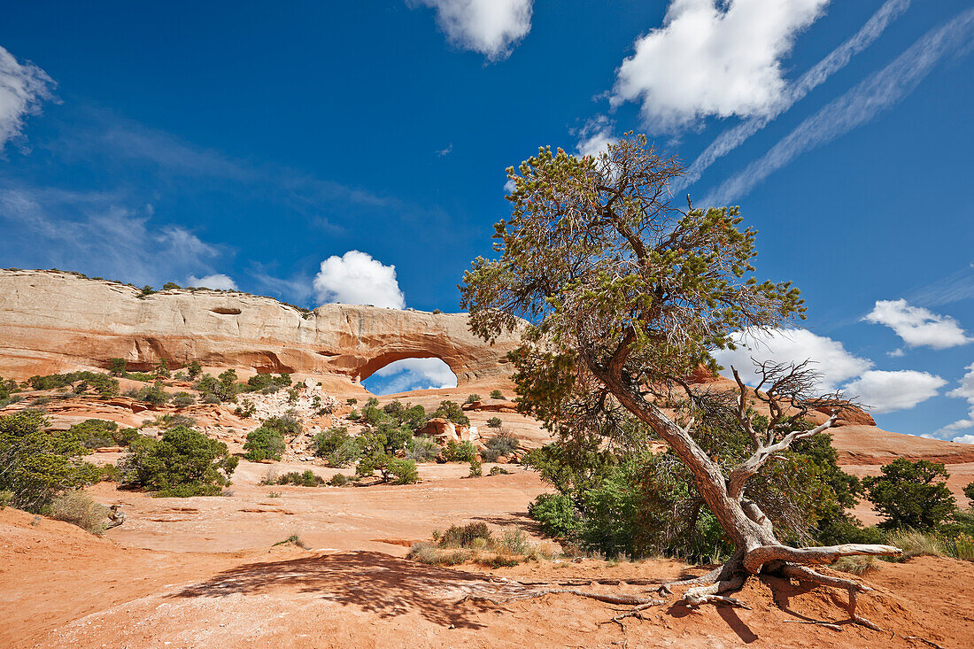 Scenic view of Wilson Arch, aka Wilson's Arch, a natural sandstone arch in southeastern Utah, USA.