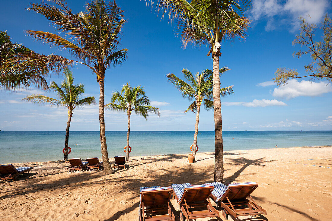  Freie Liegestühle unter Palmen am Strand des Vinpearl Resorts. Insel Phu Quoc, Vietnam. 