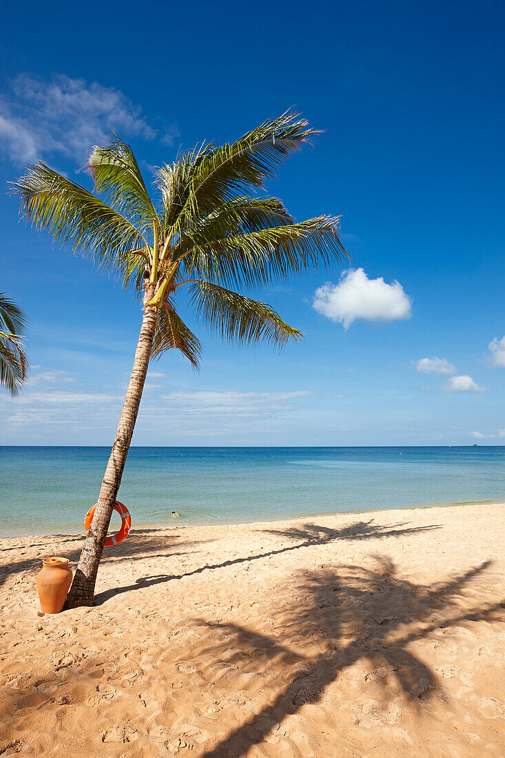 Sandy beach with palm trees at the Vinpearl Resort on Phu Quoc island, Vietnam.