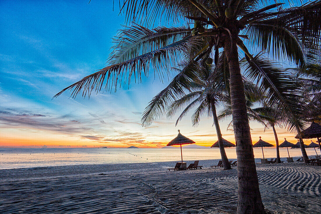 Palm trees on Cua Dai Beach at sunrise. Hoi An, Quang Nam Province, Vietnam.