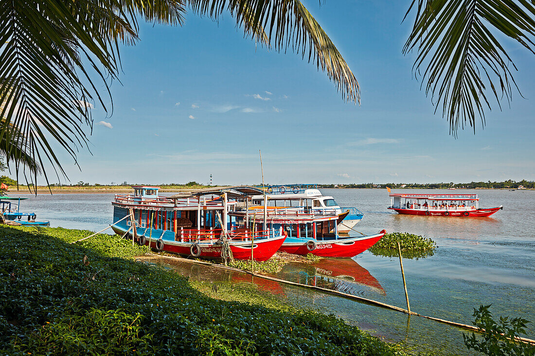 Traditional boats on the Thu Bon River. Hoi An, Quang Nam Province, Vietnam.