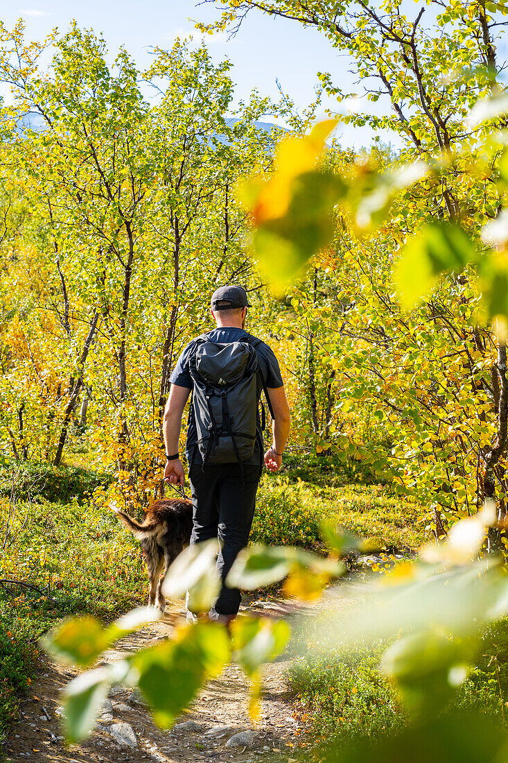 Schweden, Norrbottens län, Abisko, Nationalpark Abisko, Wanderer mit Hund auf Weg im Herbstwald