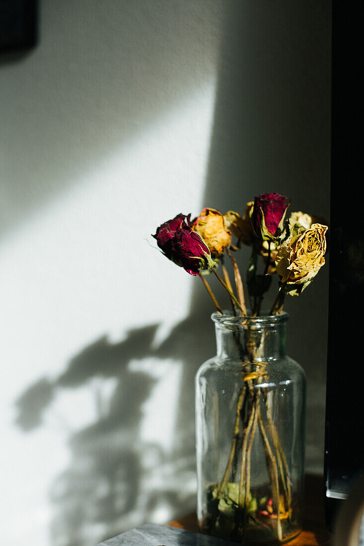 Rose, Golden, Flower, Still life Roses, Dry flowers, Shadow