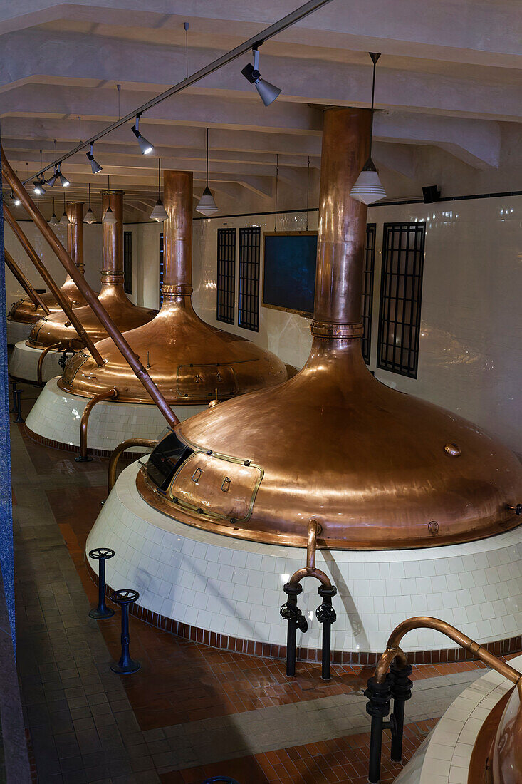 Guided tour, Pilsner Urquell Brewery, Pilsen, Czech Republic