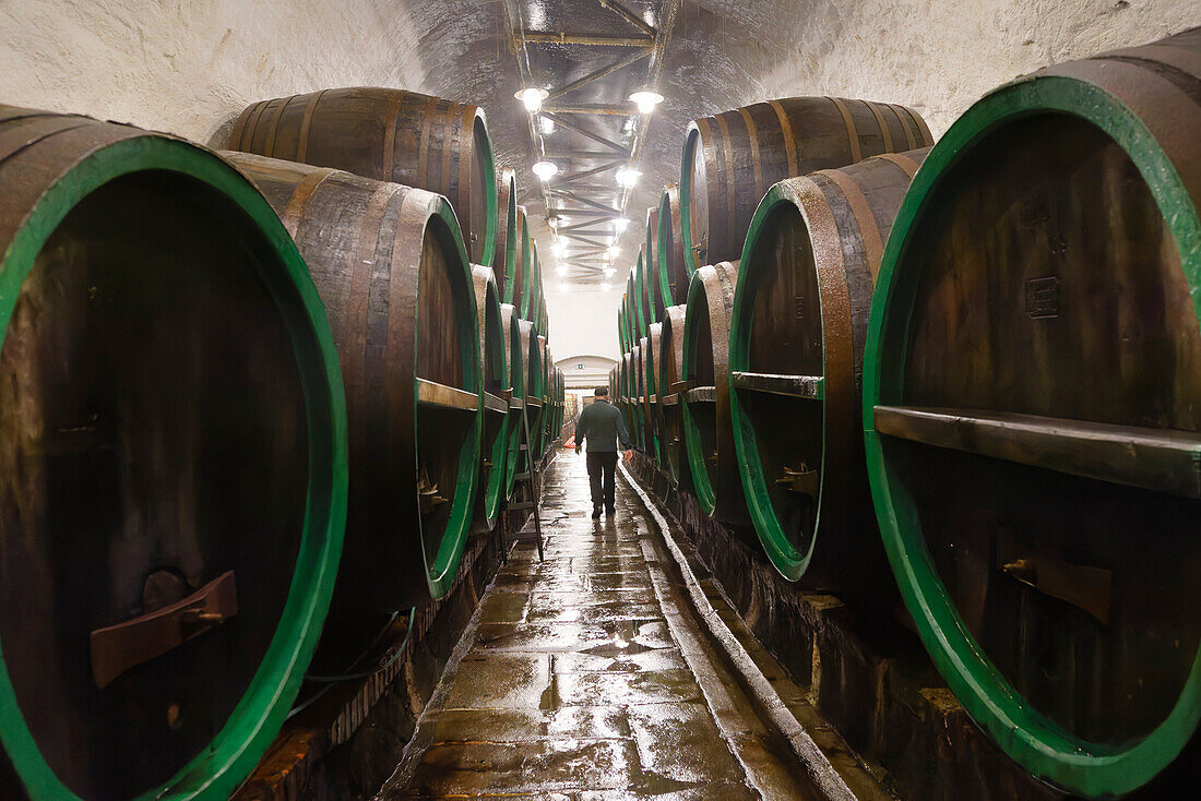 Guided tour, Pilsner Urquell Brewery, Pilsen, Czech Republic