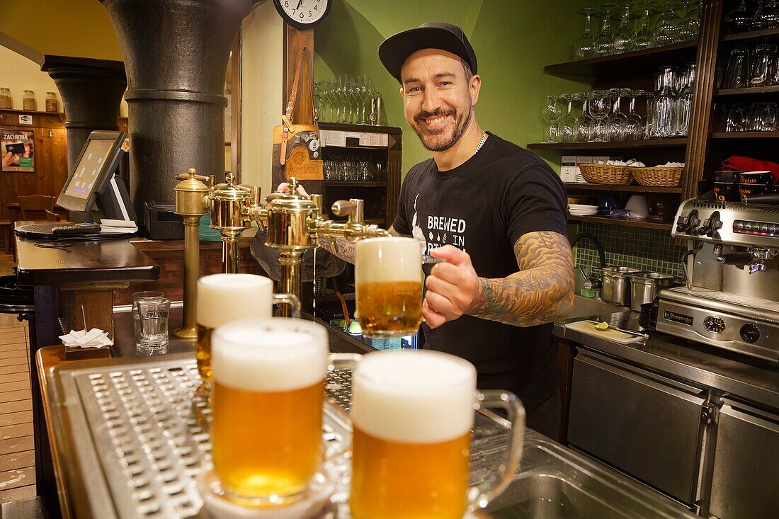  Fassbier, Barkeeper, Pivovarský šenk Na Parkánu, Restaurant Senk Na Parkanu, Pilsen, Tschechische Republik 