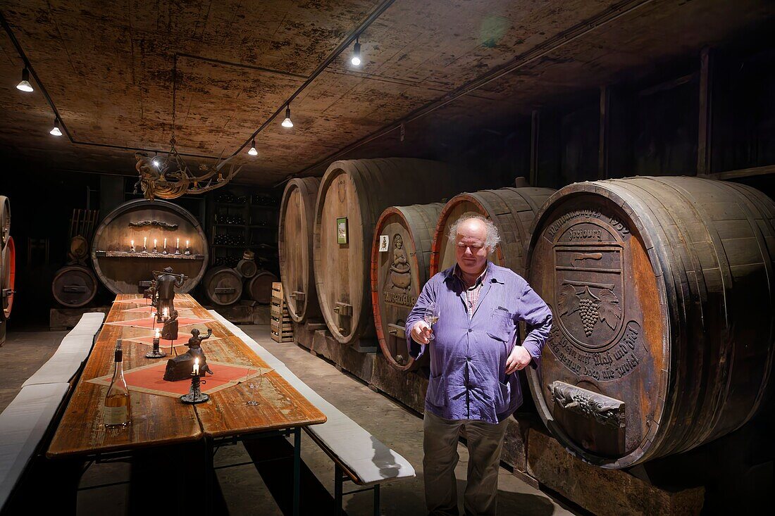 Mann verkostet Wein, Weinkeller, Weingut Glocke, Rothenburg ob der Tauber, Franken, Bayern, Deutschland