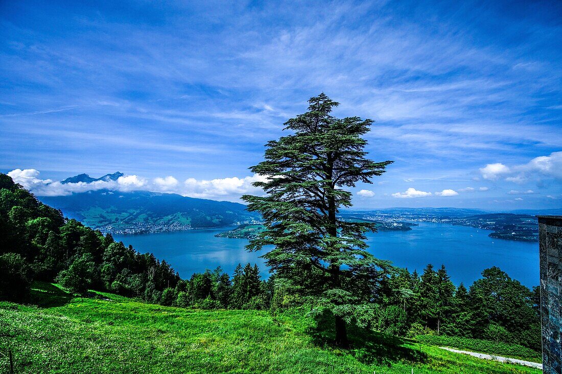  View from Bürgenstock to Lake Lucerne with Pilatus (2128 m), Canton Nidwalden, Switzerland 