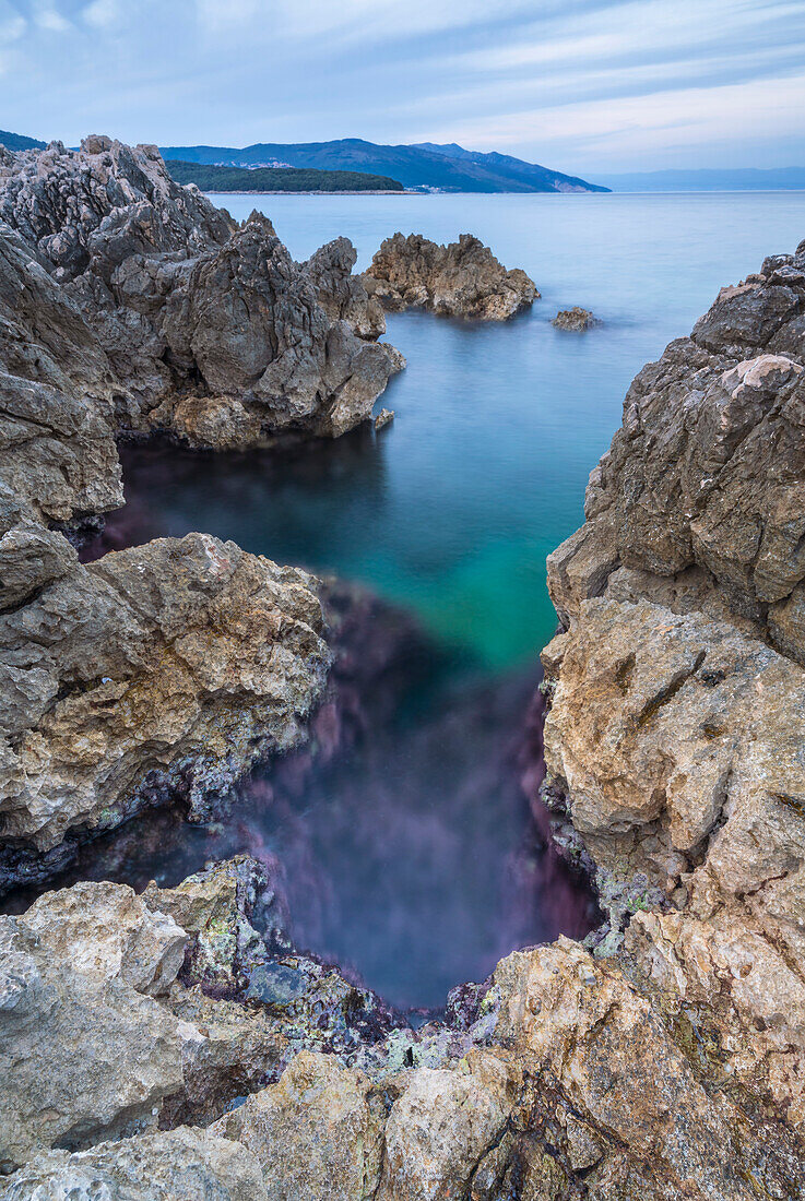  On the shore of the Croatian coast, Istria, Croatia.  