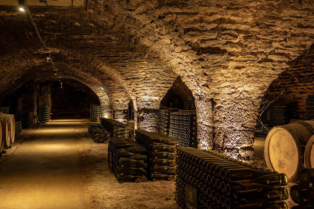 Weinkeller im Weingut Patriarche, Beaune, Côte-d'Or, Bourgogne-Franche-Comté, Frankreich, Europa