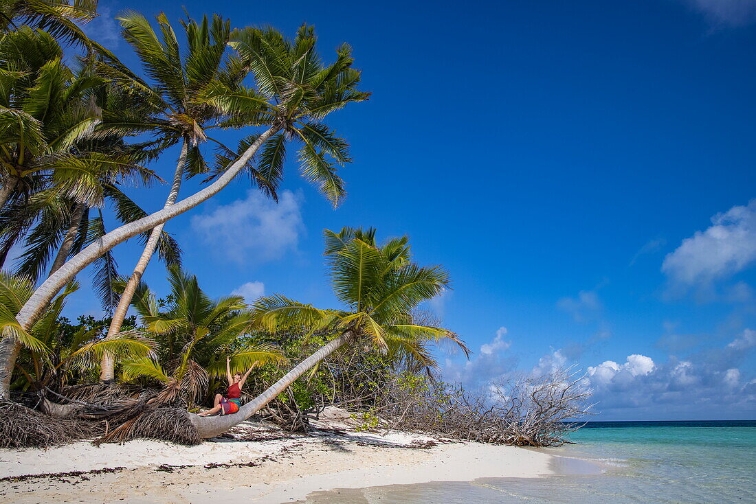  Woman stretching her hands to the sky while sitting on the trunk of a coconut tree on the beach, Bijoutier Island, Alphonse Group, Outer Seychelles, Seychelles, Indian Ocean 