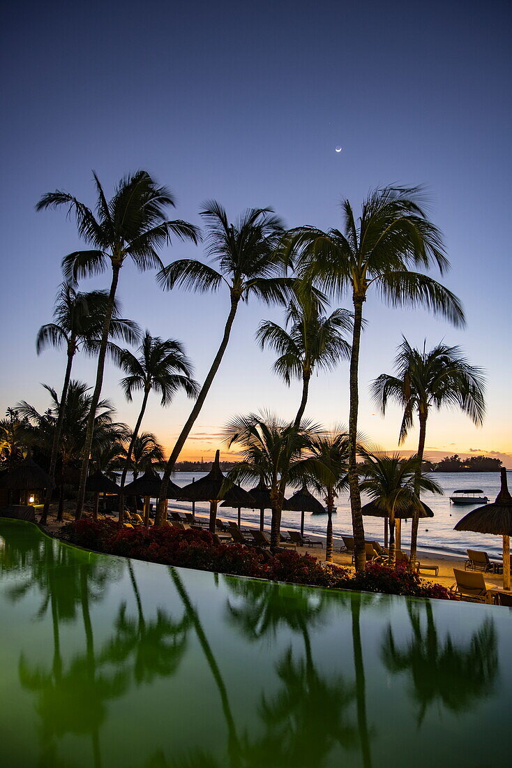  Reflection of coconut trees and thatched umbrellas in the swimming pool of the Royal Palms Beachcomber Luxury at dusk, Grand Baie, Rivière du Rempart, Mauritius, Indian Ocean 