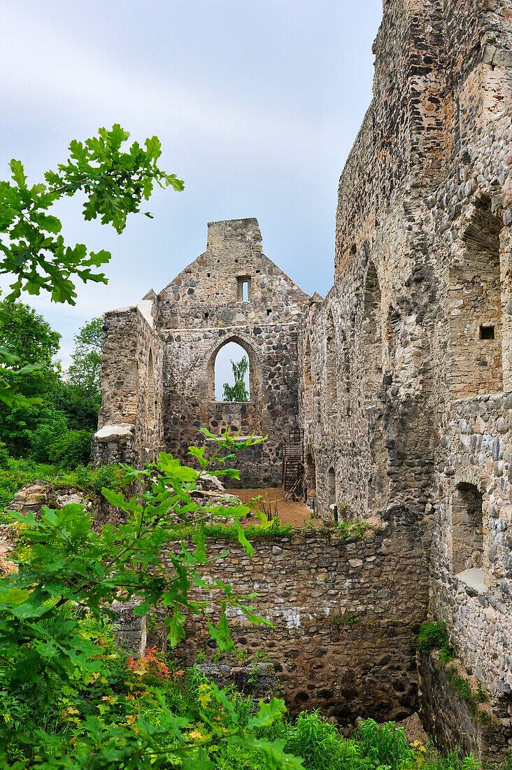  Ruinen der mittelalterlichen Burg Sigulda, Sigulda, Region Vidzeme, Lettland, Baltikum, Nordeuropa 