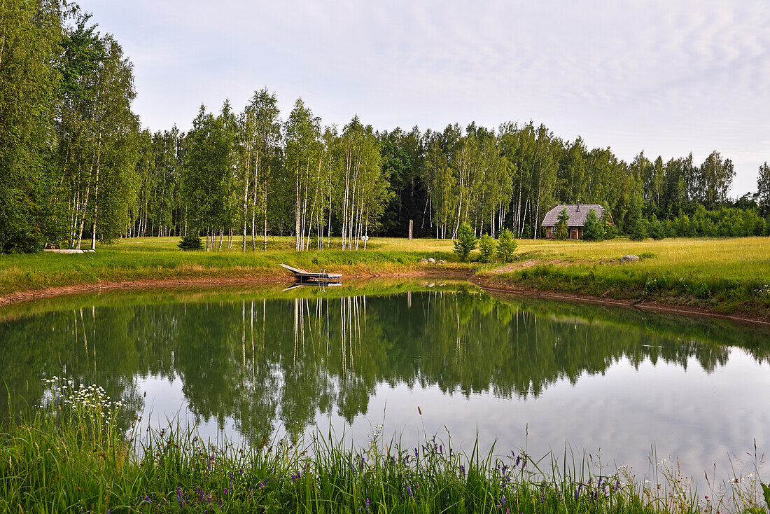 small lake on the homestead, Miskiniskes rural accommodations, Aukstaitija National Park, Lithuania, Europe