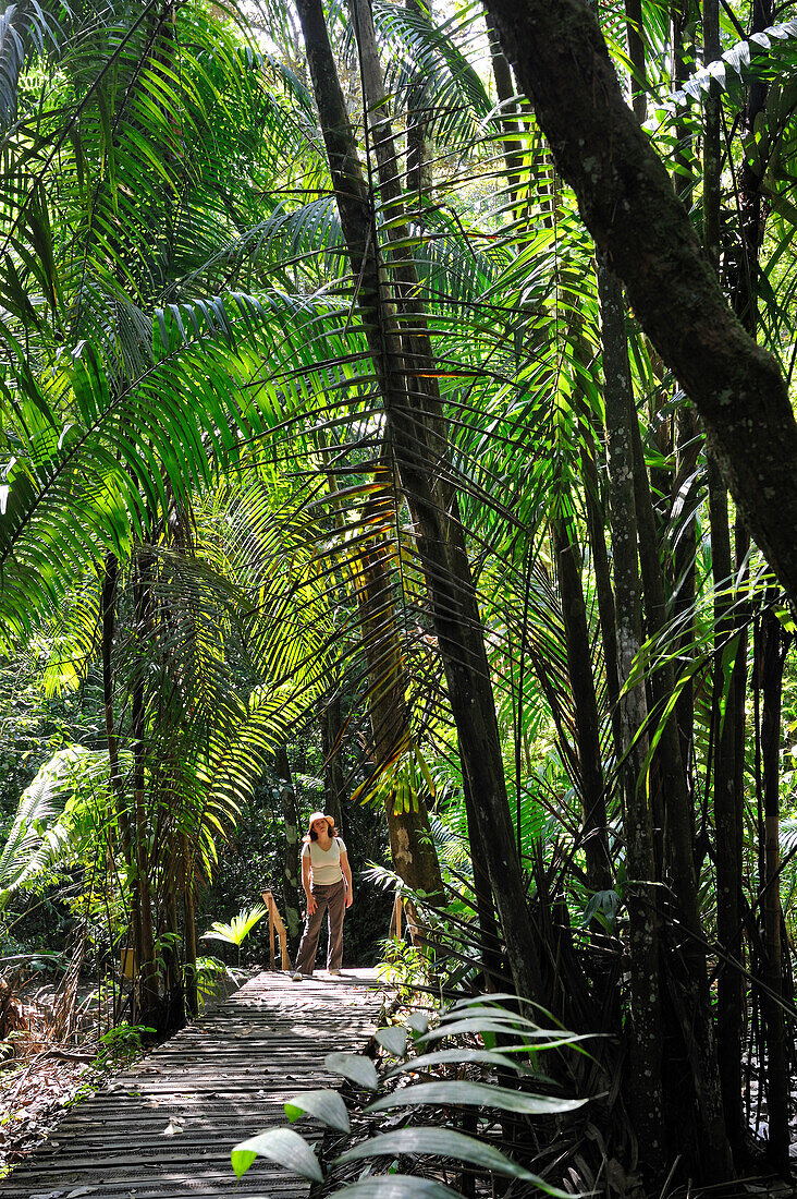 Touristin auf Weg im Soberania Nationalpark, Republik Panama, Mittelamerika