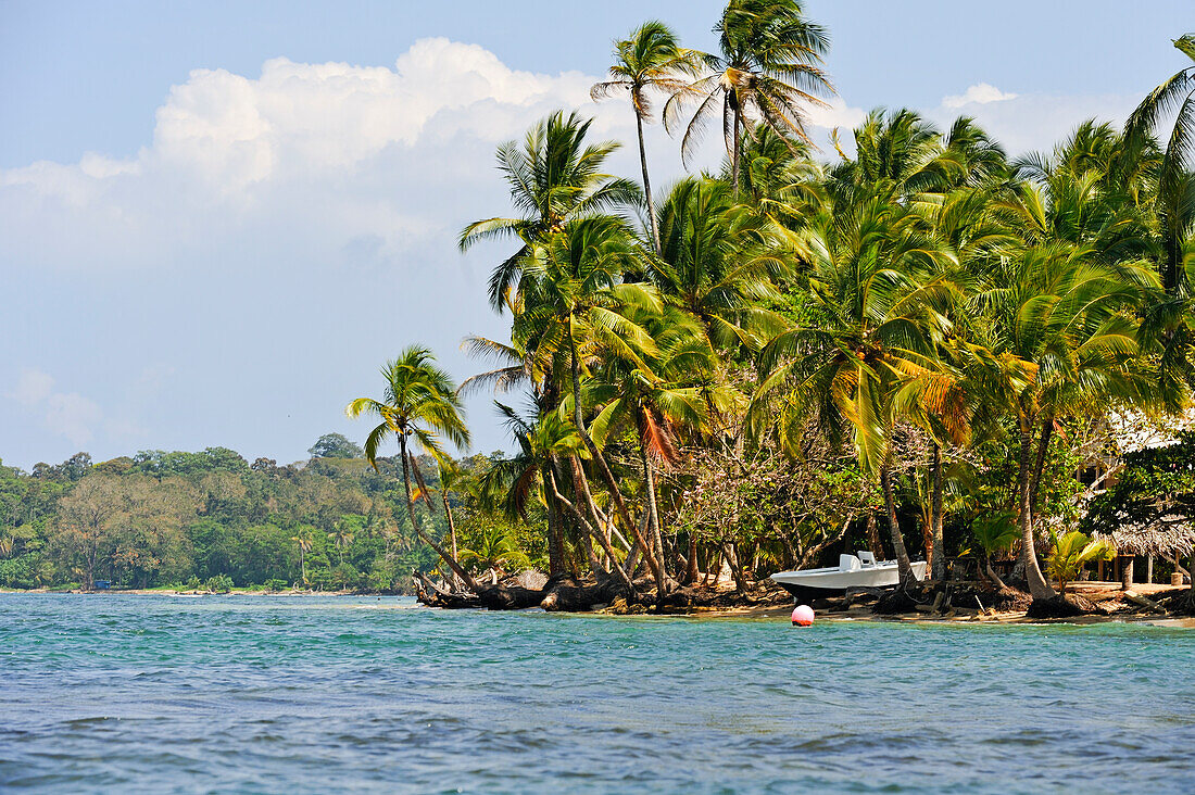  Boca del Drago, Insel Colon, Archipel Bocas del Toro, Republik Panama, Mittelamerika 