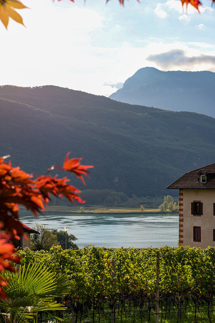 View of Lake Kaltern in autumn, South Tyrol, Italy