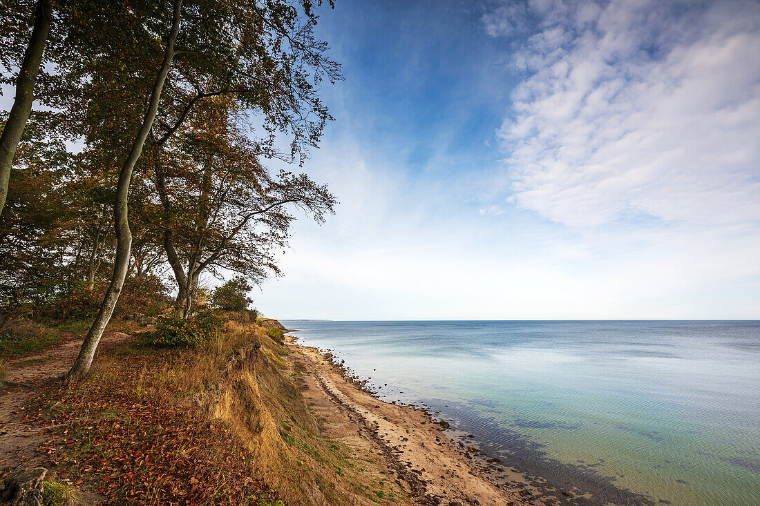 Blick auf die Steilküste am Eitz in Weissenhäuser Strand, Ostsee, Ostholstein, Schleswig-Holstein, Deutschland