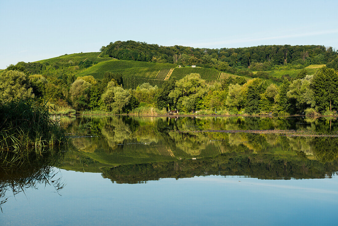  picturesque lake, Biodiversum Camille Gira, Center d&#39;accueil Haff Réimech, near Schengen, Moselle, Luxembourg, Luxembourg 