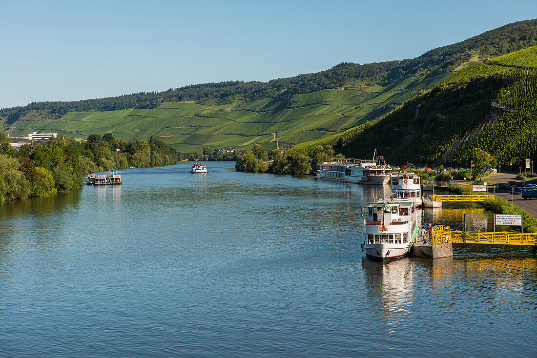  River and vineyards, Bernkastel-Kues, Mosel, Rhineland-Palatinate, Germany 