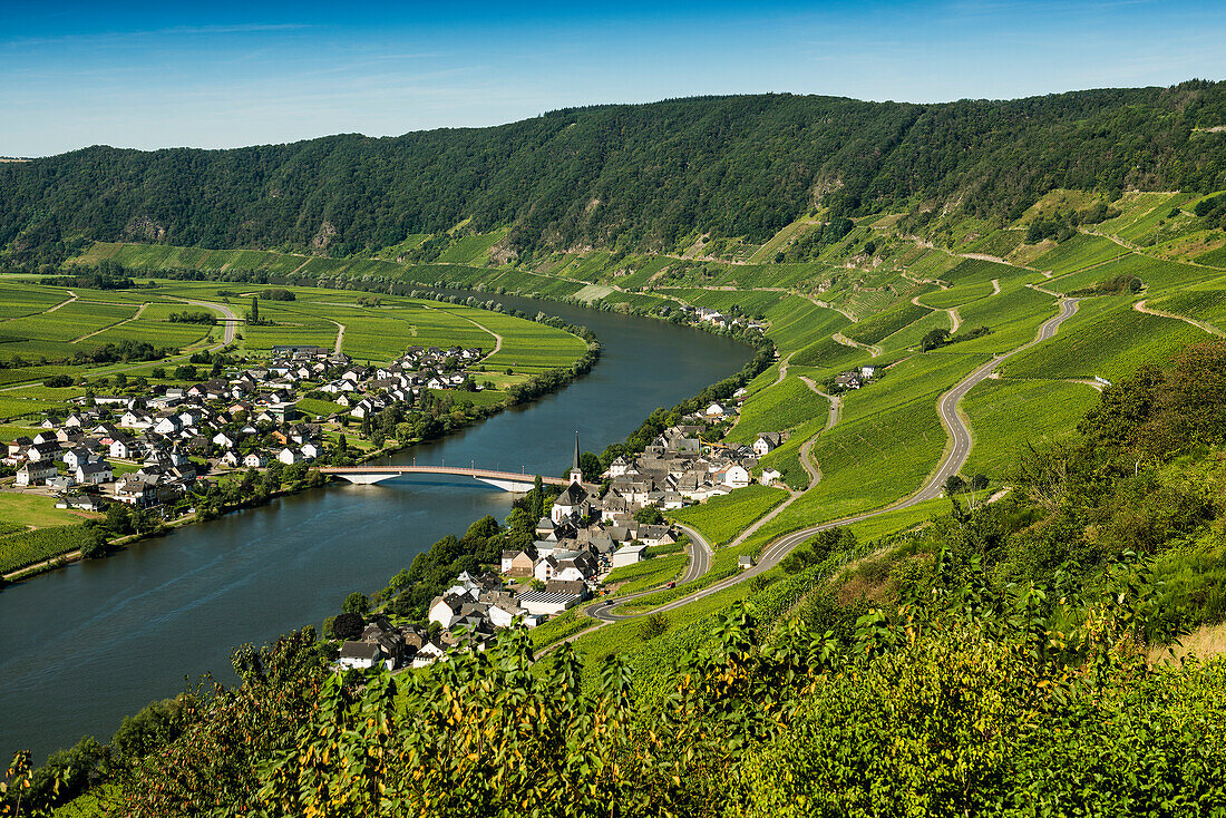  Picturesque village on the river and in the vineyards, Piesport, Mosel, Rhineland-Palatinate, Germany 