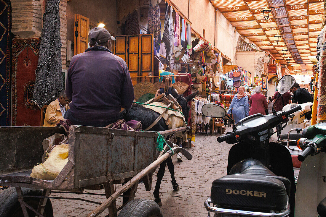 Esel für den Transport in der alten historischen Medina von Marrakesch, Marokko