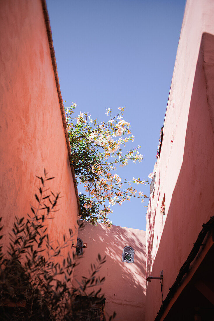  Goods and shopping in the old historic Medina of Marrakech. 