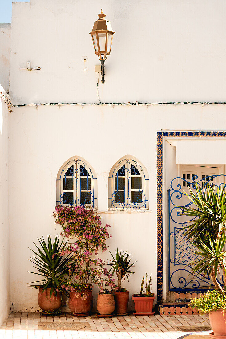  Street photography in the midday sun of the Kasbah of the Oudayas in Rabat, Morocco. 