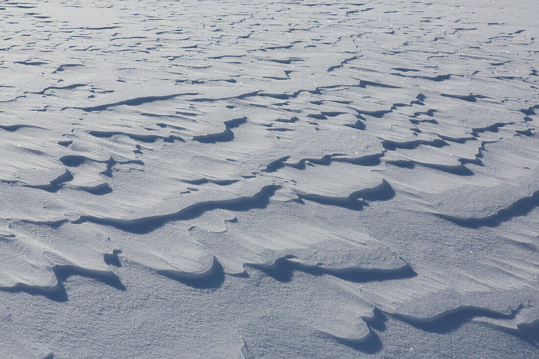  Snowdrifts, Dovrefjell-Sunndalsfjella National Park, Norway 