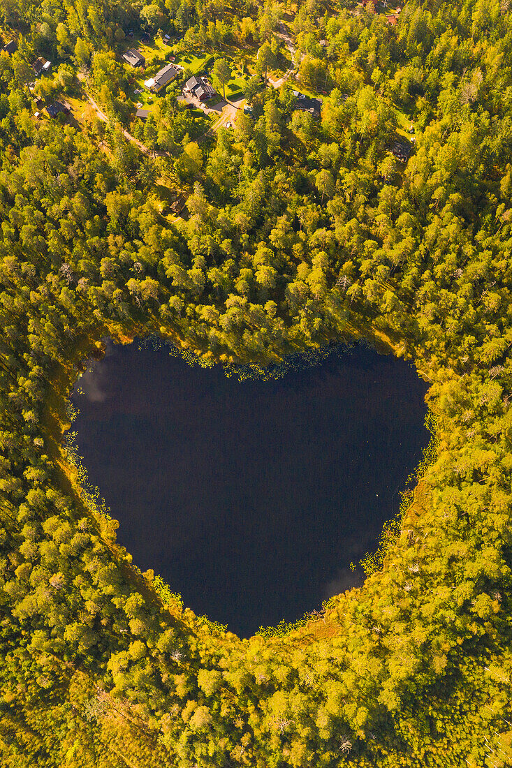  Heart-shaped lake in the forest, autumn, Sweden 