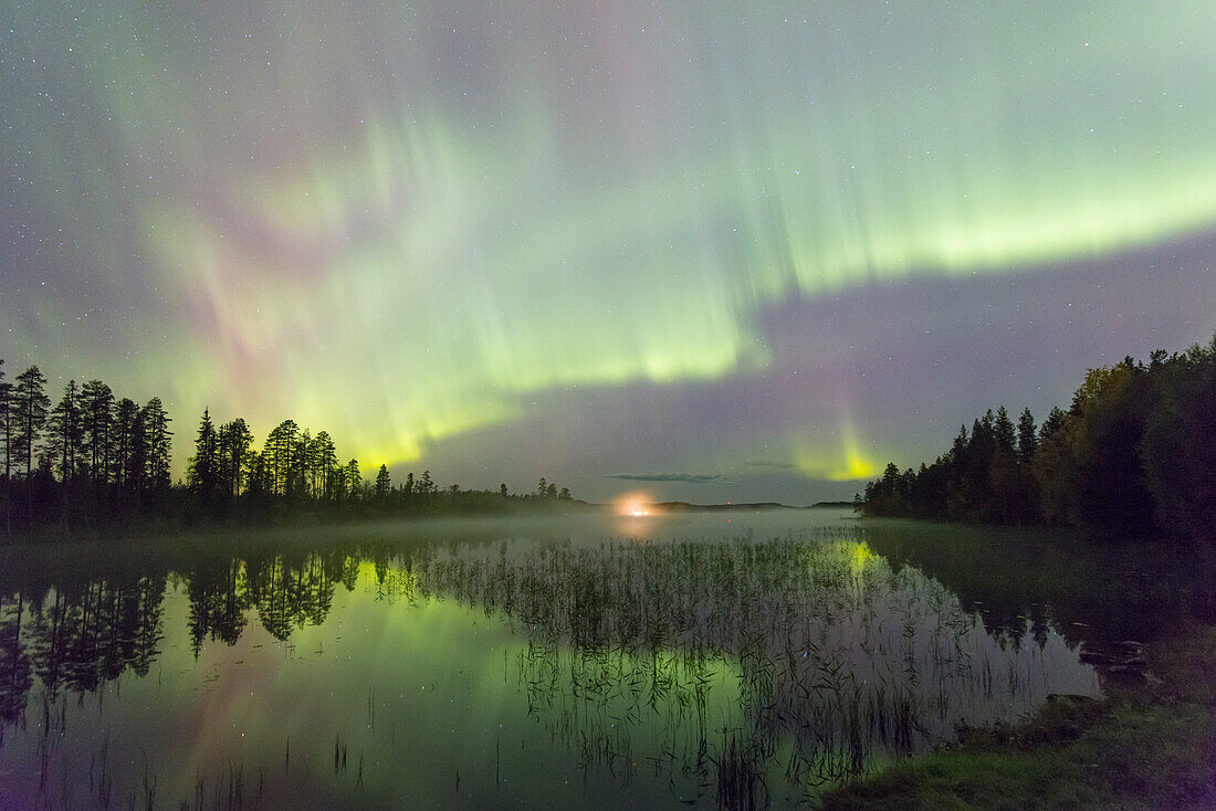  Northern lights, Aurora borealis, in the night sky, Dalarna, Sweden 