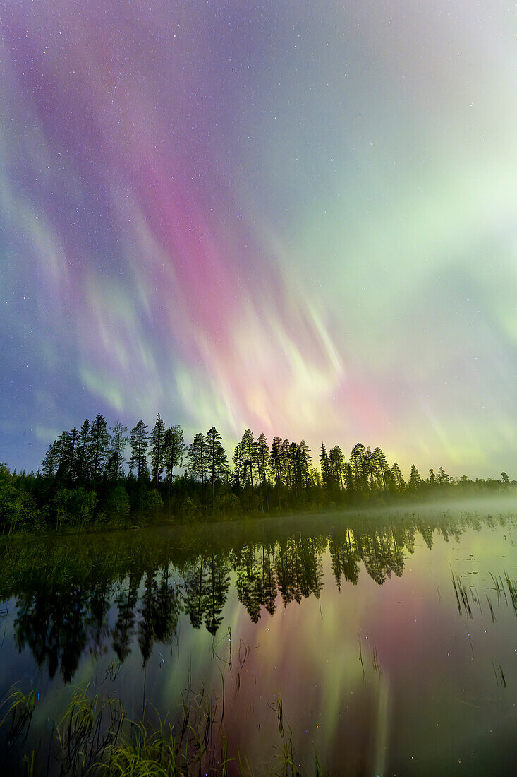  Northern lights, Aurora borealis, in the night sky, Dalarna, Sweden 