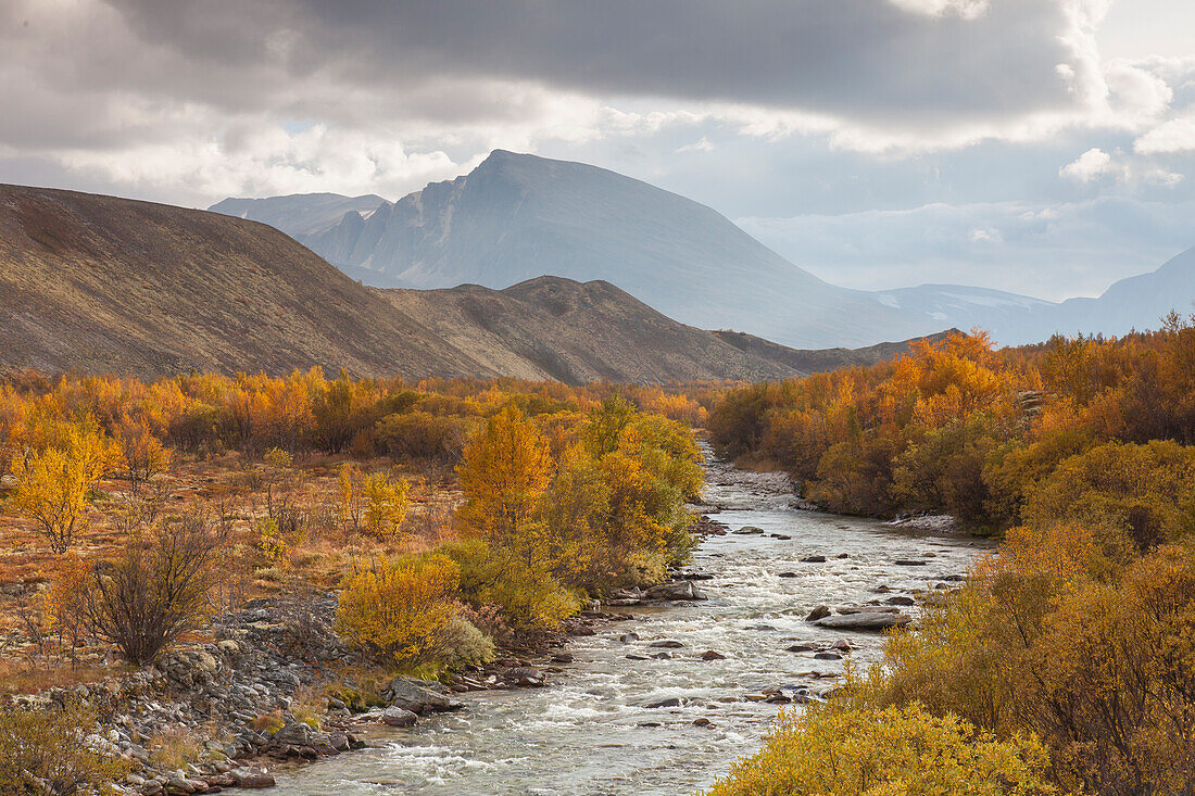  River Atna in Doralseter, Rondane National Park, Dovre, Norway 