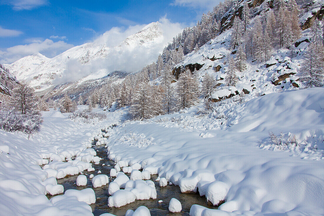  mountain stream, in the snow, winter, Gran Paradiso National Park, Aosta Valley, Italy 