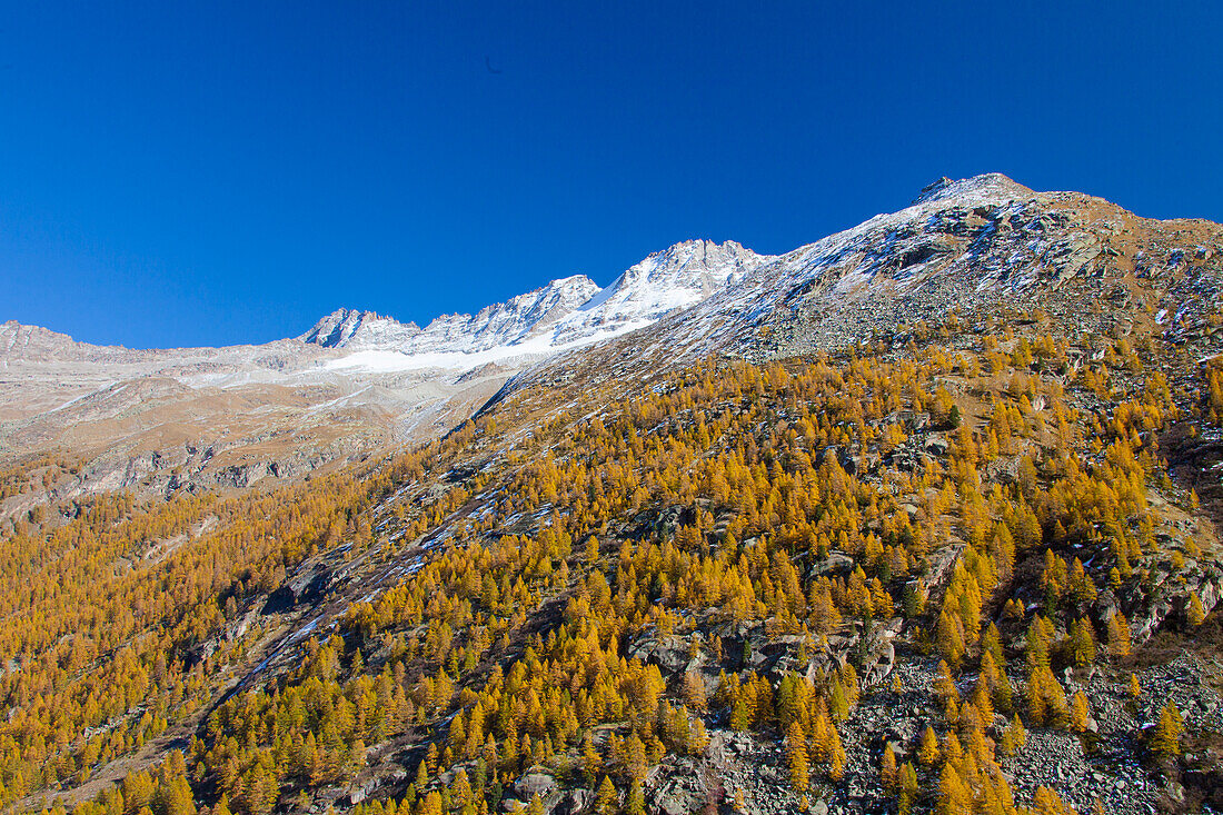  mountain landscape, larch, autumn, Gran Paradiso National Park, Italy 