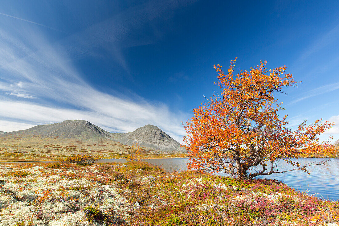  View of the mountain Stygghoin in autumn, Doraldalen, Rondane National Park, Oppland, Norway 