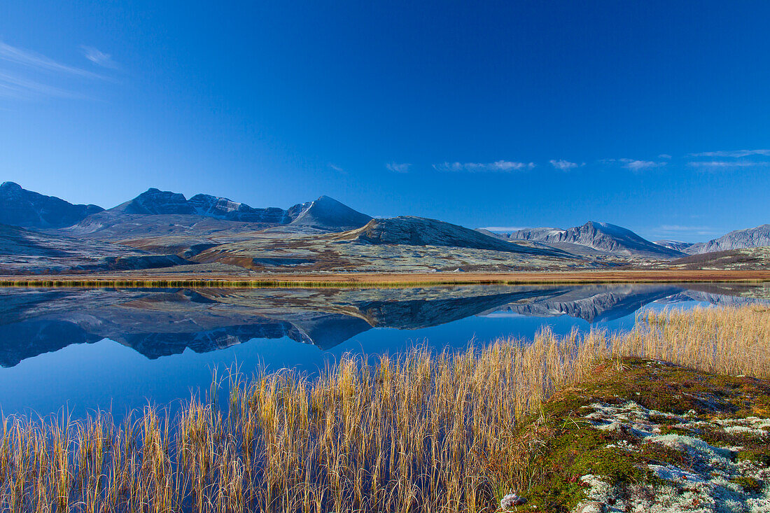 Høgronden, Midtronden, Digerronden, Berge, Gebirge, See, Spiegelbild, Dørålen, Døråldalen, Rondane Nationalpark, Dovre, Oppland, Norwegen