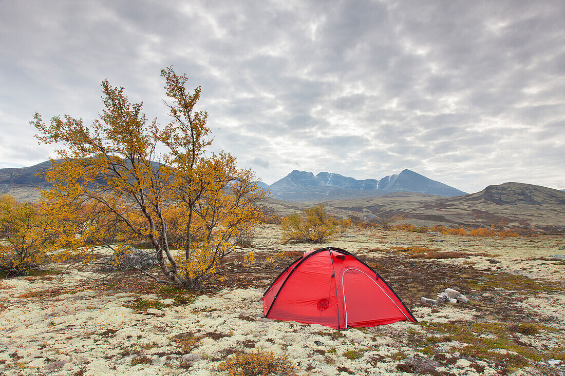  Tent in Døråldalen, Rondane National Park, Dovre, Oppland, Norway 