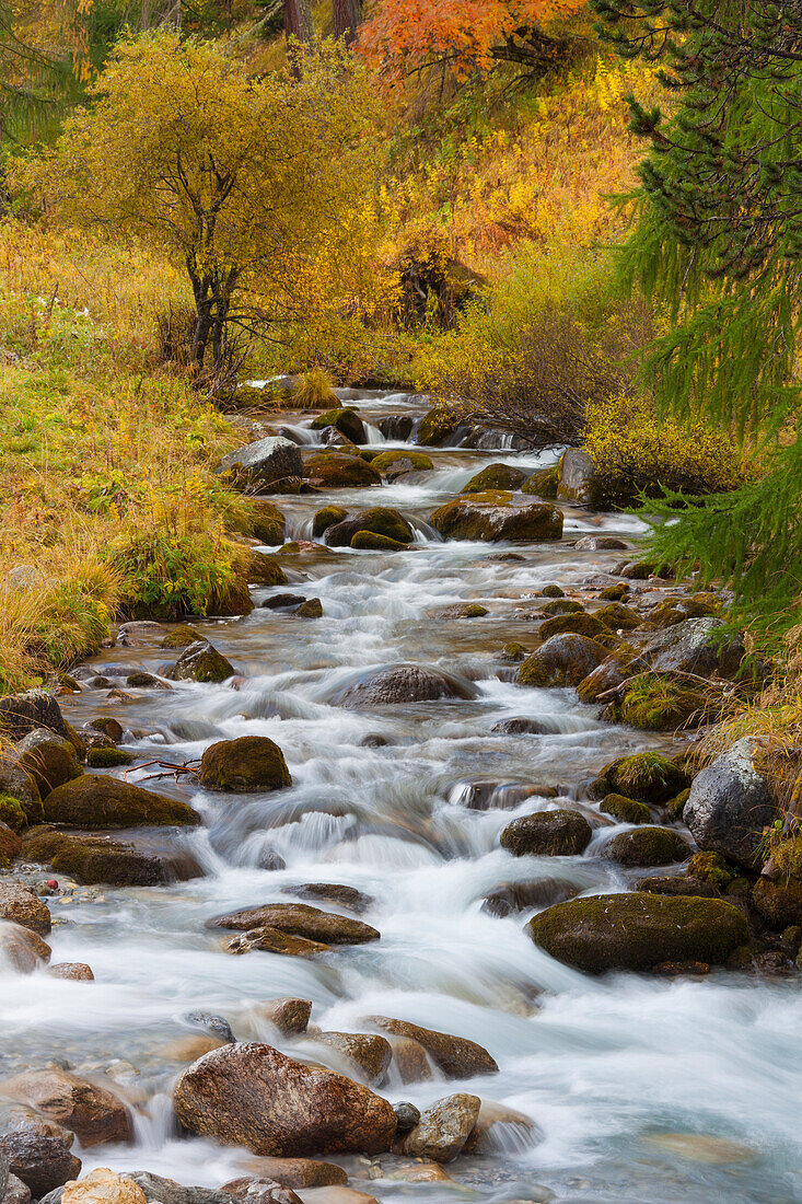 Gebirgsfluss Clemgia, Schweizer Nationalpark, Graubünden, Schweiz