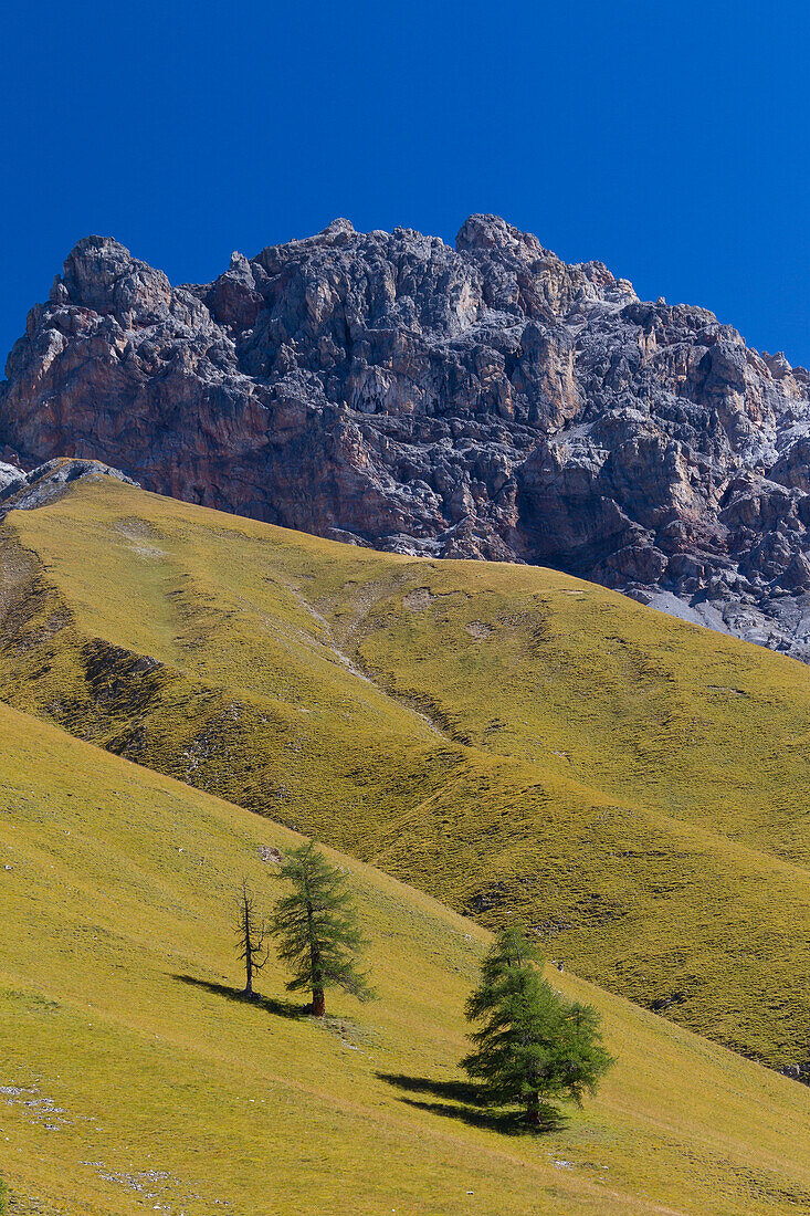  View of Piz Fier, Val Trupchun, Swiss National Park, Graubünden, Switzerland 