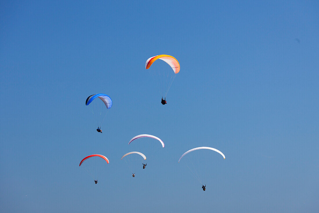  Paragliders, Paragliding, on the Baltic coast, Scania province, Sweden 