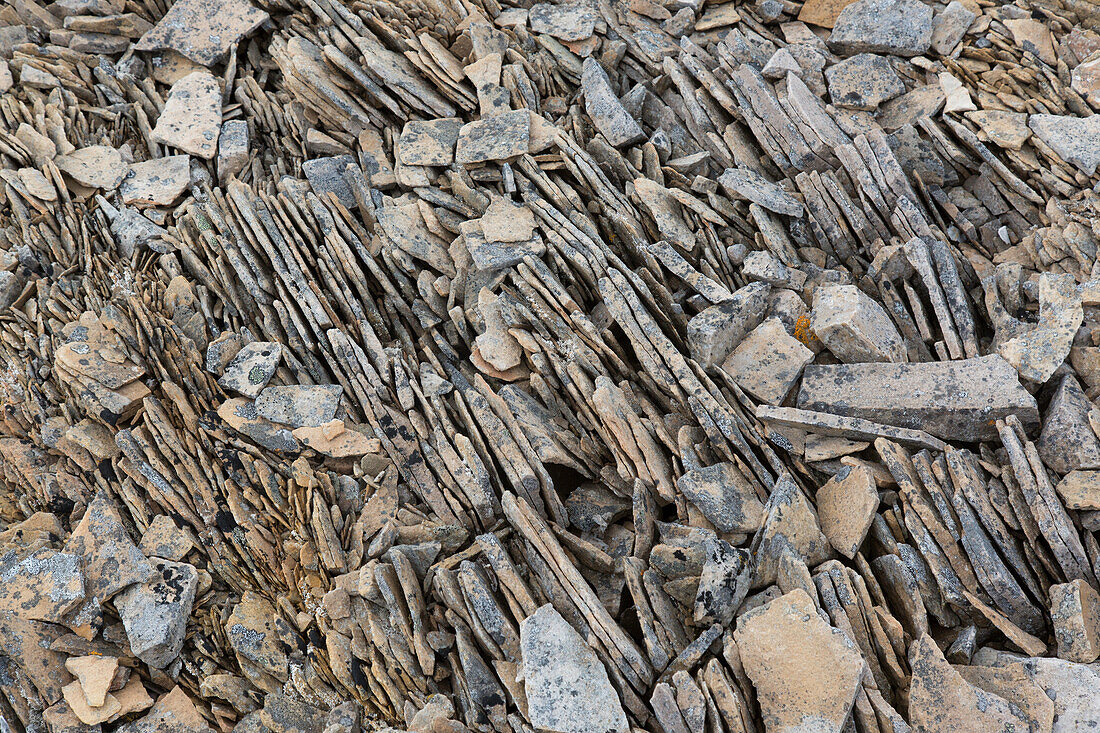  Troll bread, slices of stone formed by the frost, Spitsbergen, Norway 