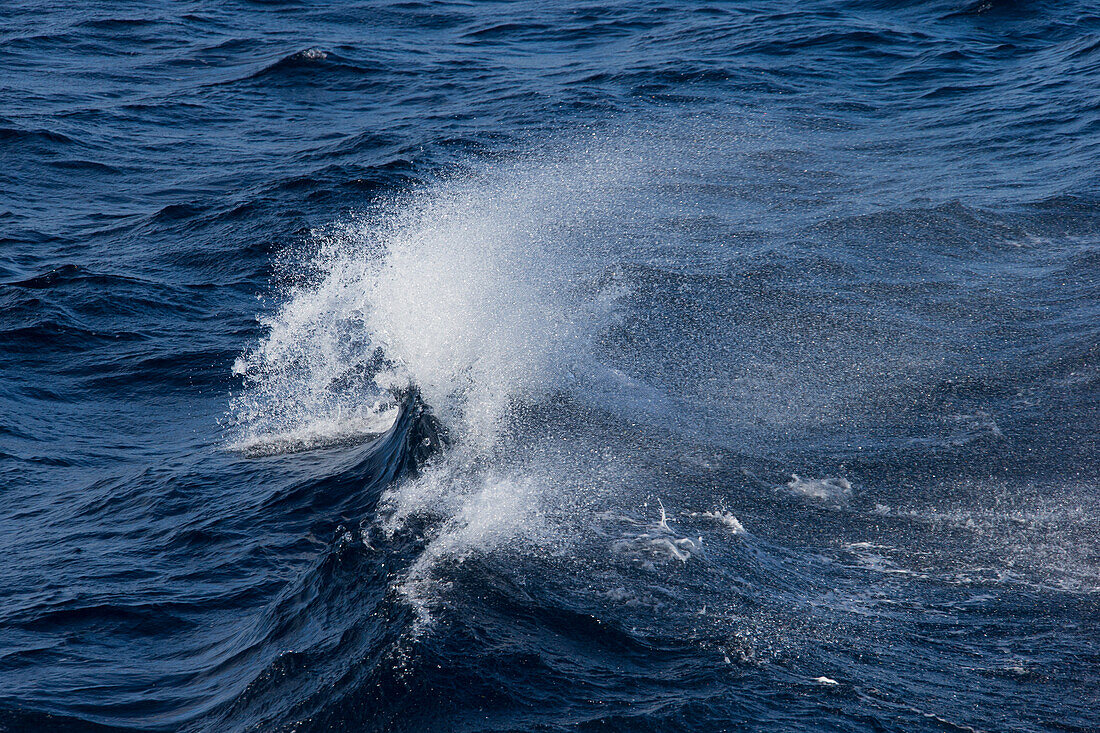  Breaking wave, Svalbard, Norway 