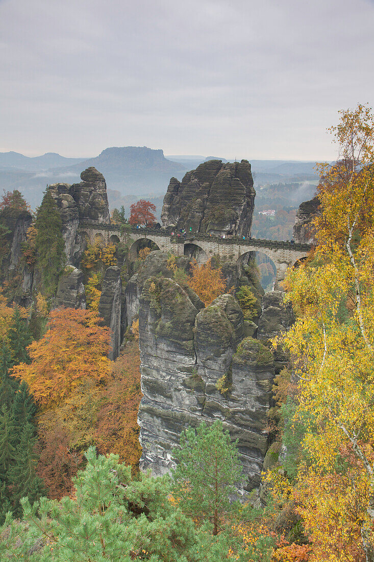  Bastei Bridge, Elbe Sandstone Mountains, Saxon Switzerland National Park, Saxony, Germany 