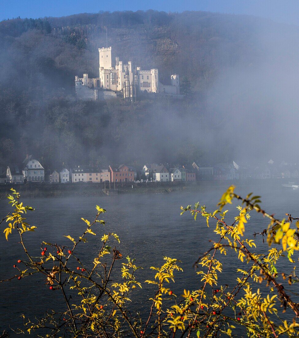  Rising fog over the Rhine, Stolzenfels Castle in the background, Koblenz, Upper Middle Rhine Valley, Rhineland-Palatinate, Germany 